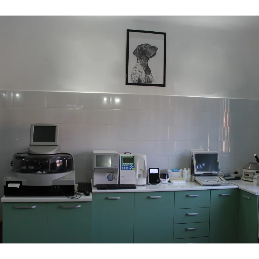 Cabinet veterinar Click vet Oradea