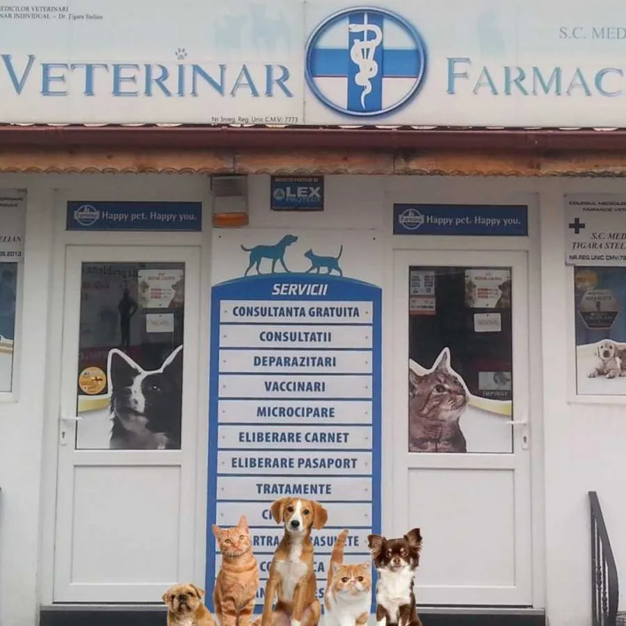 Dr. Tigara Stelian - MedVet